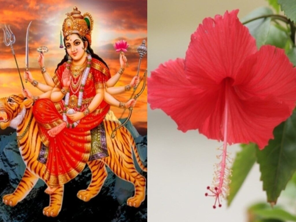 Navratri 2024: Pay Tribute to the Nine Goddesses with Their Favorite Flowers for Family Blessings!