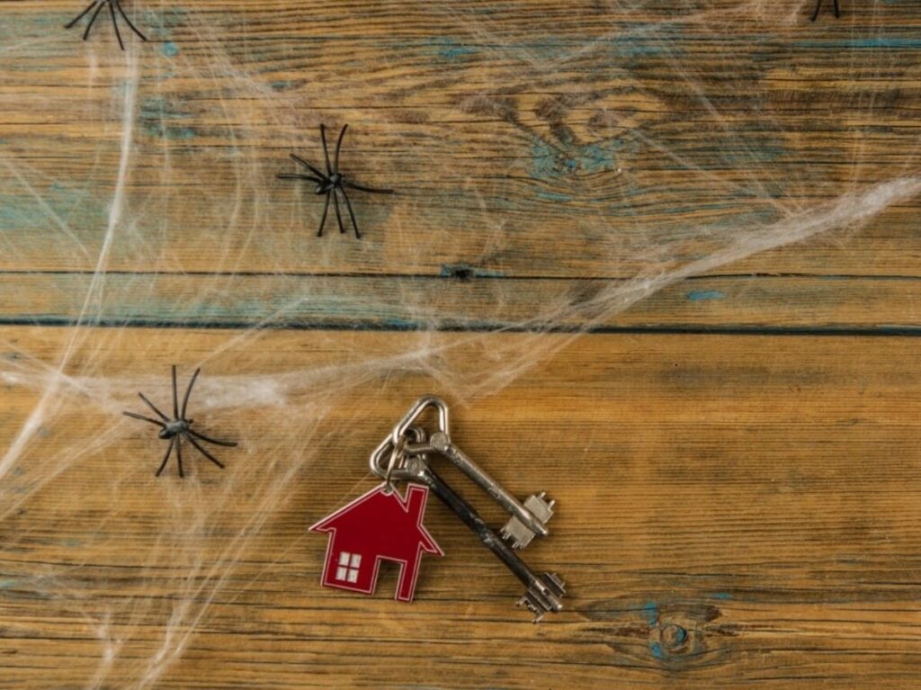 Say Goodbye to Spider Webs: Quick Tips for a Spotless Home!