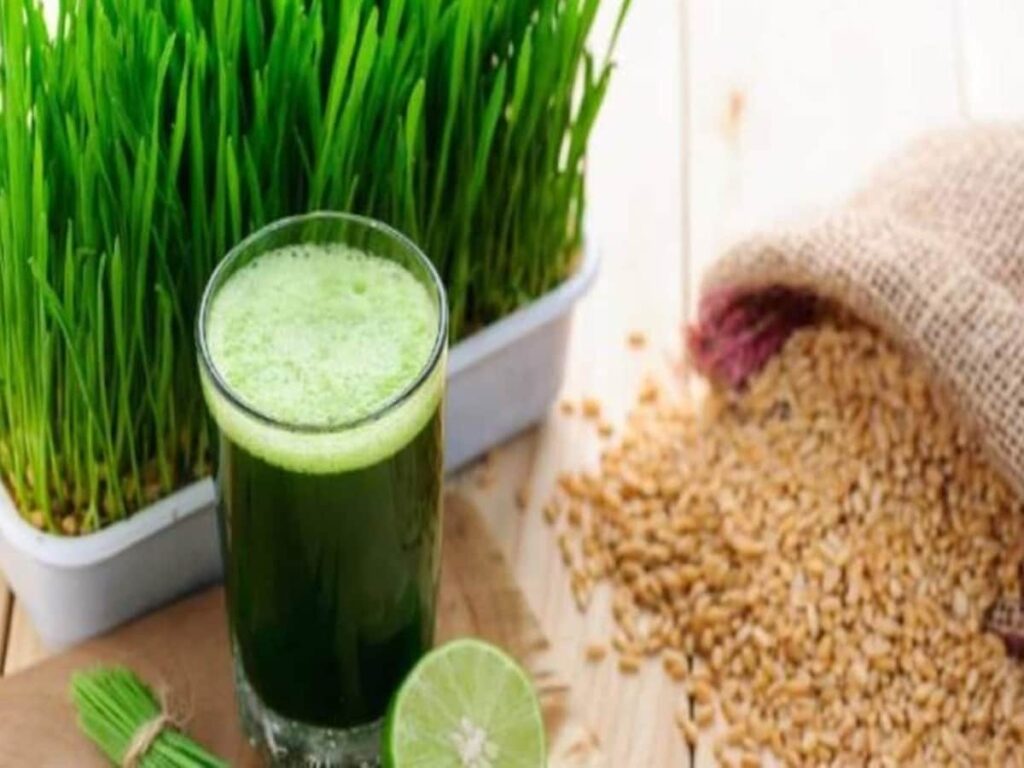 Superfood Alert: Wheat Grass from Navratri Shields Against Major Illnesses!