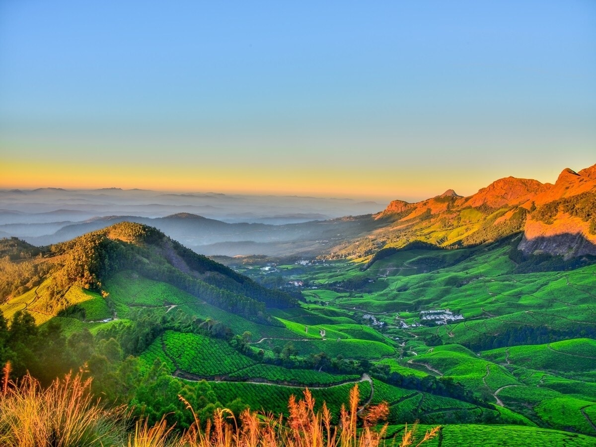 5 Nearby Hill Stations Near Chandigarh Perfect for a Day Trip