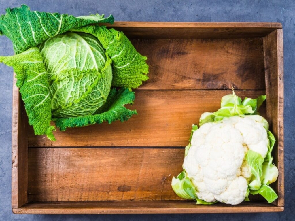 Master Cooking Tips for Cabbage and Cauliflower to Avoid Gas Issues