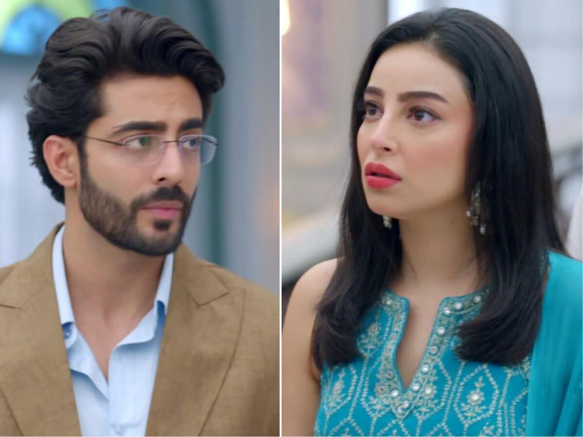 Moon's Secret Revealed: Aniruddh Returns Home, Arshi in Shock!