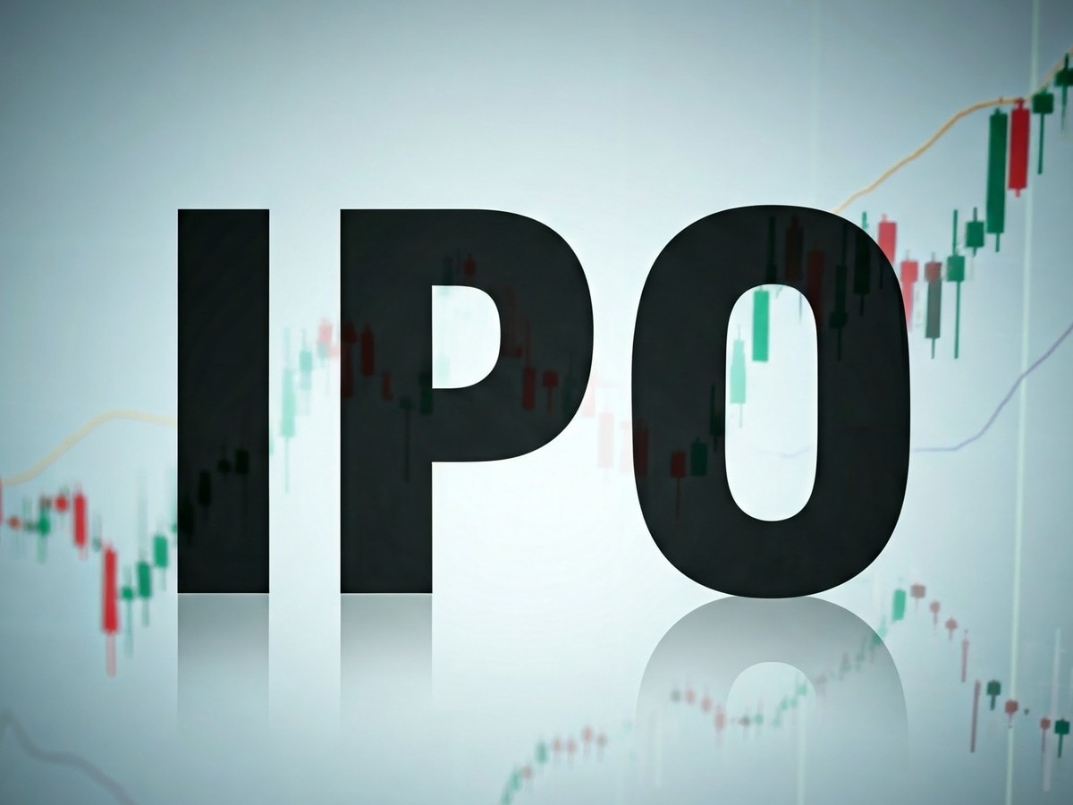 23-year-old company, ₹91 issue price, IPO opportunity starting June 24