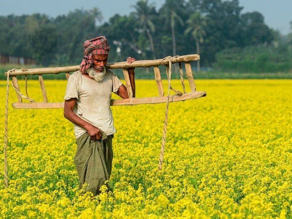 Important update for millions of farmers: When will PM Kisan's 20th installment arrive? Check details.