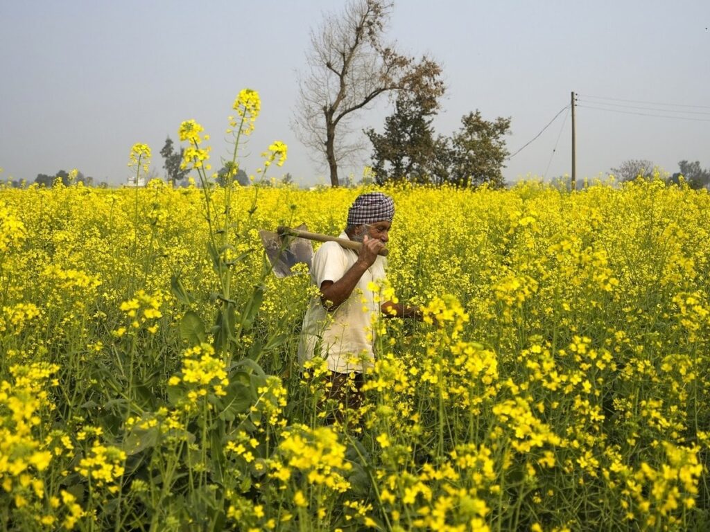 PM Kisan's 20th installment release date announced
