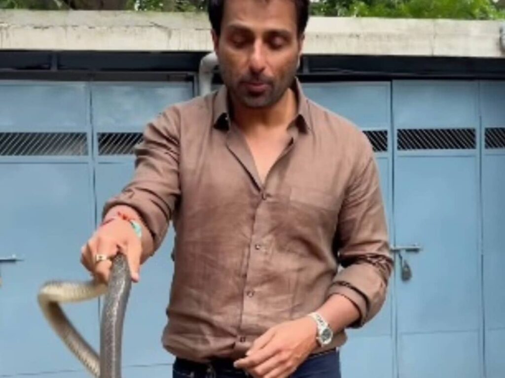 Snake Intrudes Sonu Sood's Society, Actor Captures It with Ease